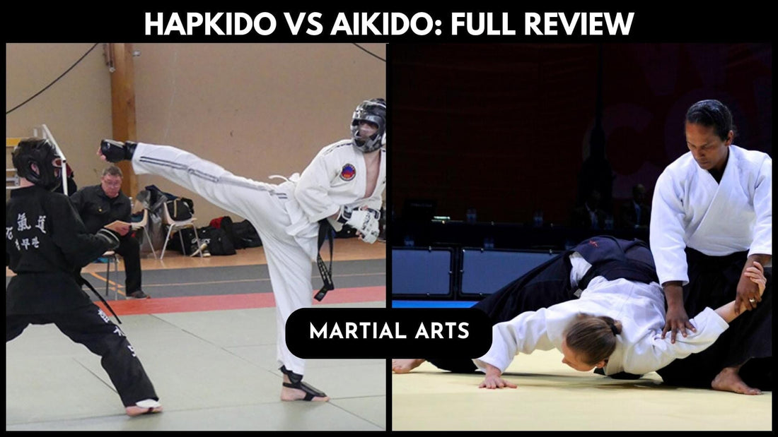 Hapkido vs Aikido: Full Review